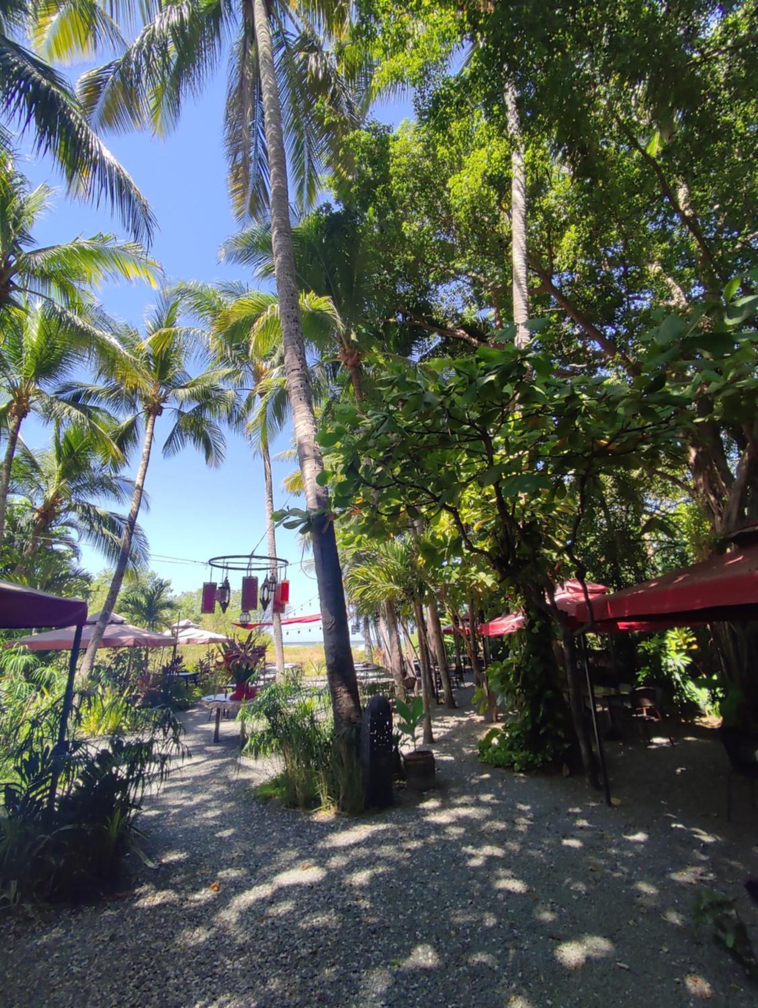 Hotel Laguna Del Cocodrilo Tamarindo Luaran gambar