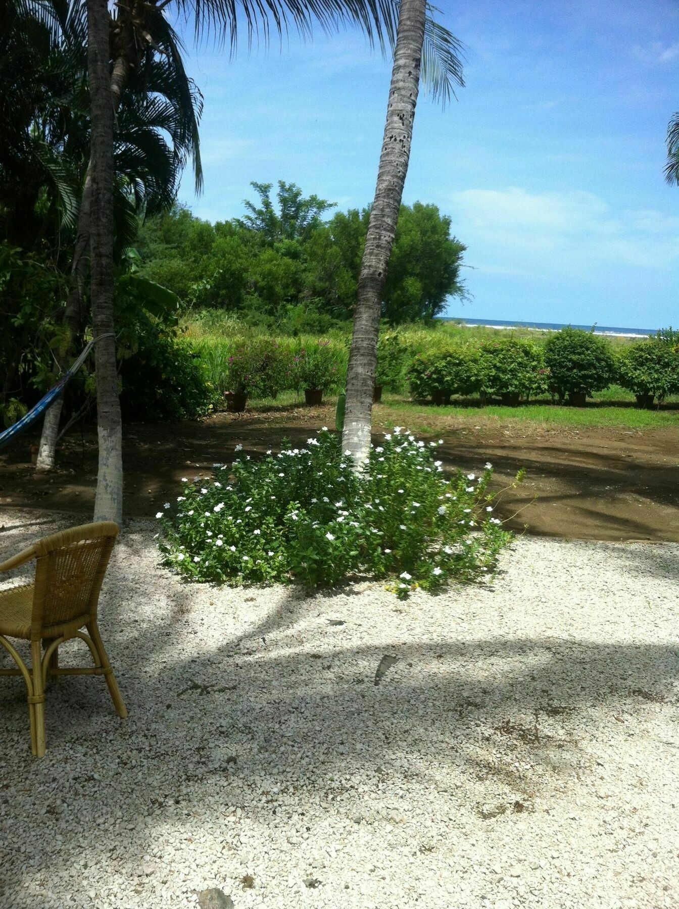 Hotel Laguna Del Cocodrilo Tamarindo Luaran gambar