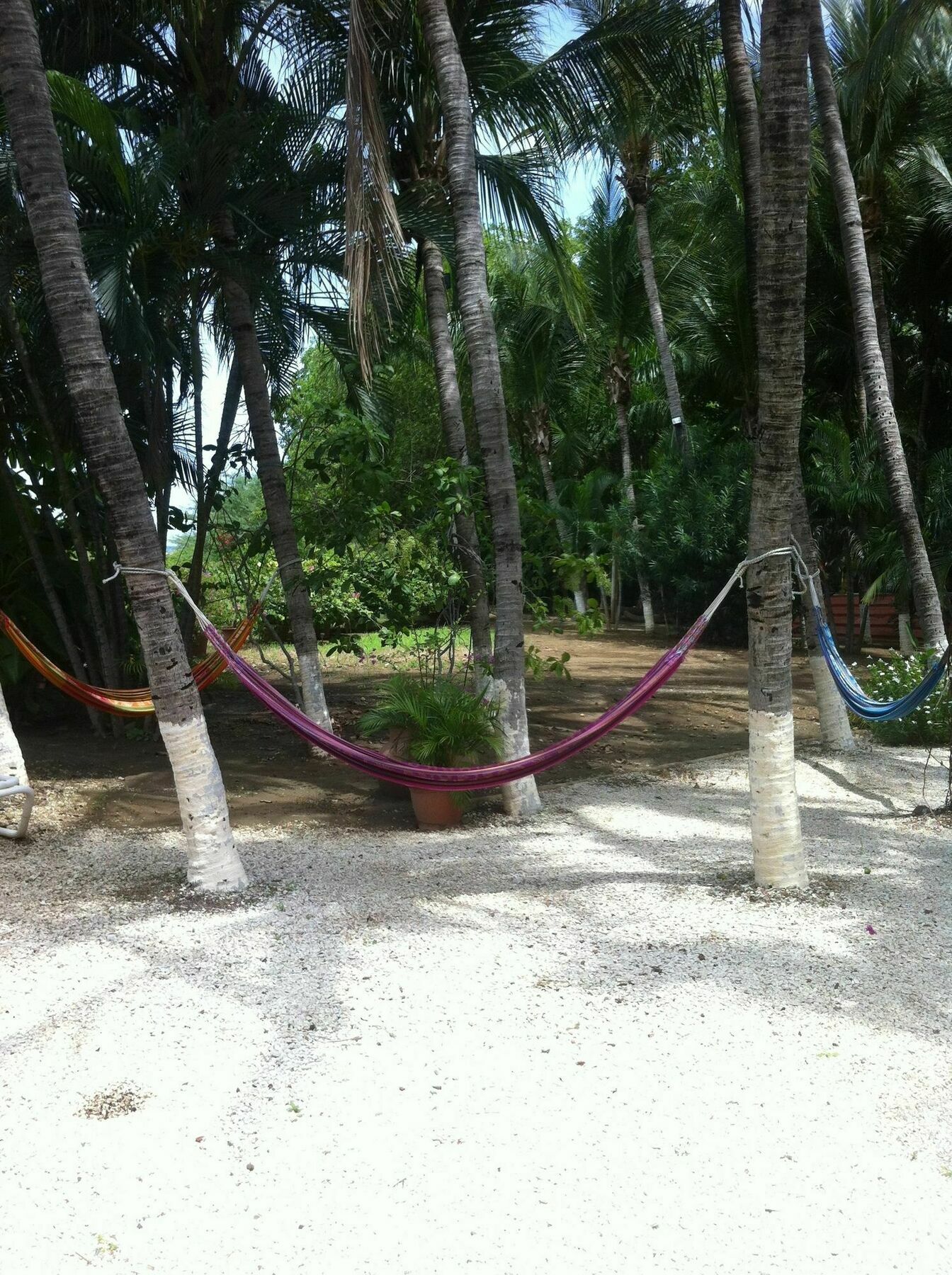 Hotel Laguna Del Cocodrilo Tamarindo Luaran gambar